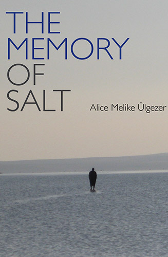 The Memory of Salt by Alice Melike Ulgezer cover