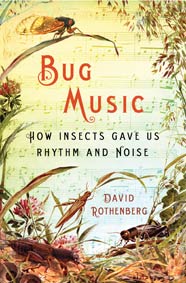 Bug Music by David Rothenberg cover