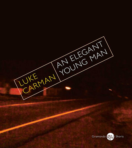 An Elegant Young Man by Luke Carman cover