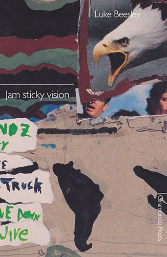 Jam Sticky Vision by Luke Beesley Book Cover